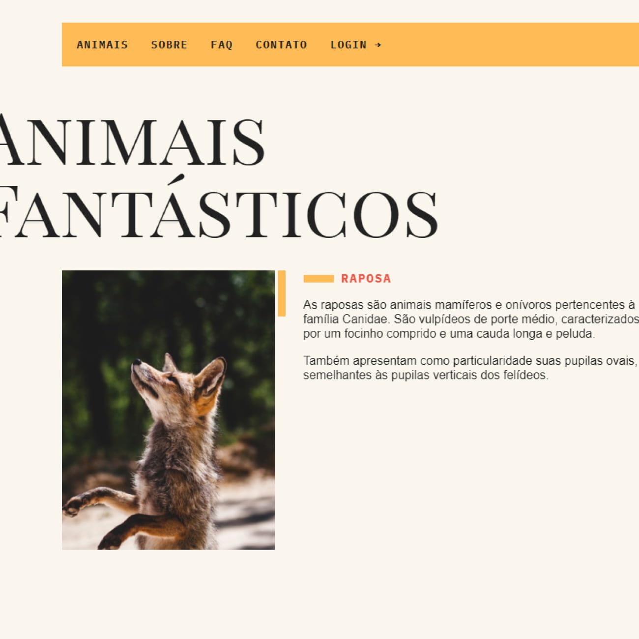 Imagem do projeto animais fantasticos